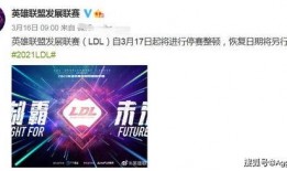 最新转会期爆料